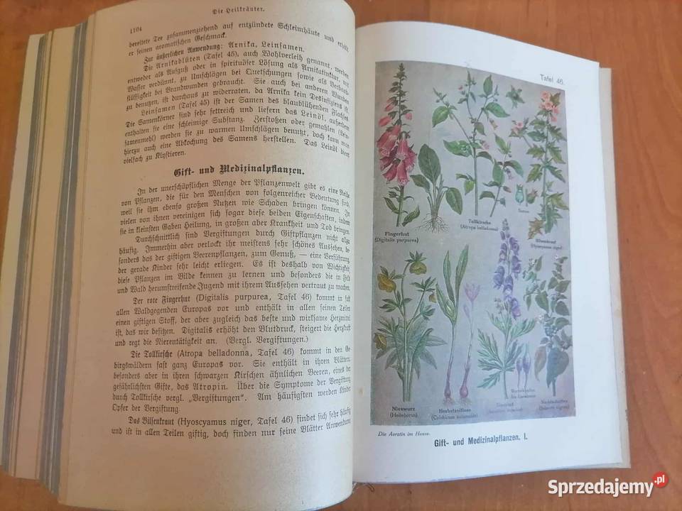 Stara Książka Domowa Lekarka 1921 Wałbrzych