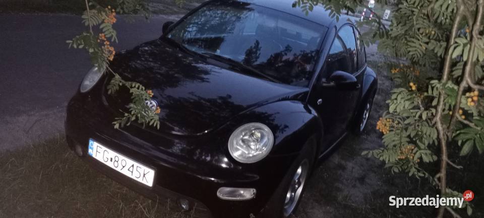 Volkswagen Beetle 20 benzgaz klima skóry Włocławek