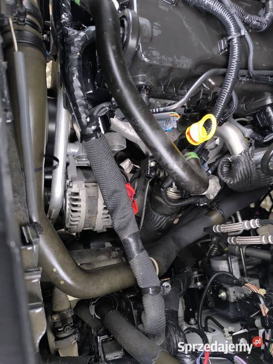 Renault master III wywrotka na bliźniaku Inowrocław