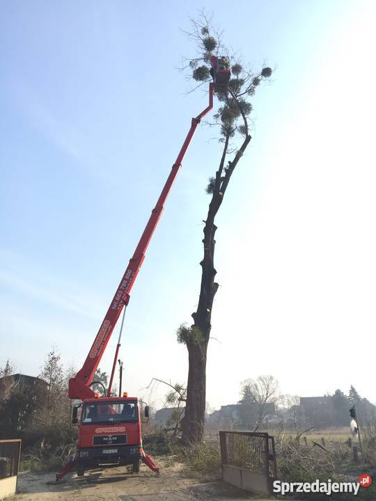Podnośnik Koszowy MAN 8163 WUMAG WT 300 Zwyżka Żywocice
