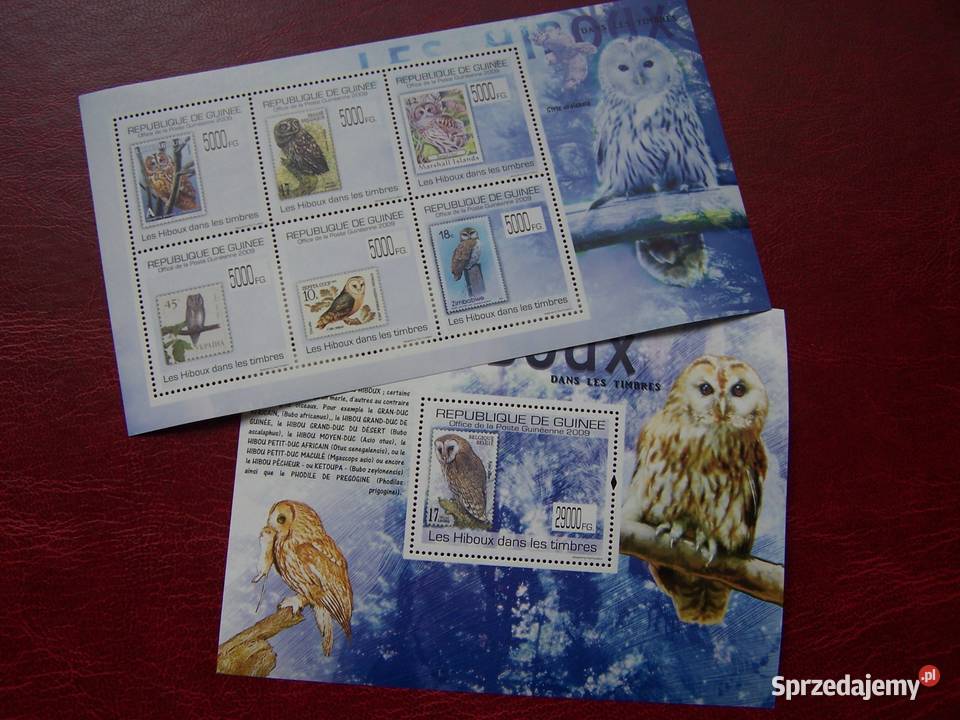 Gwinea 2009 MNH Fauna Ptaki Sowy na znaczkach Kolekcje