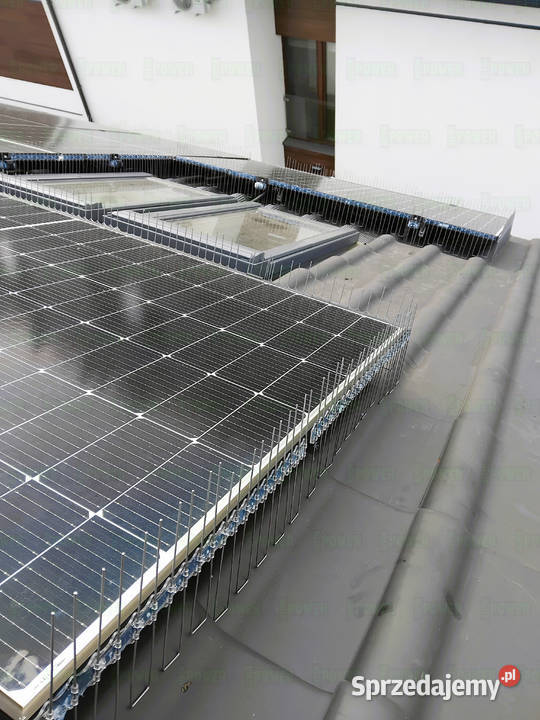 Ochrona systemów fotowoltaicznych przed ptakami Remont i budowa Warszawa