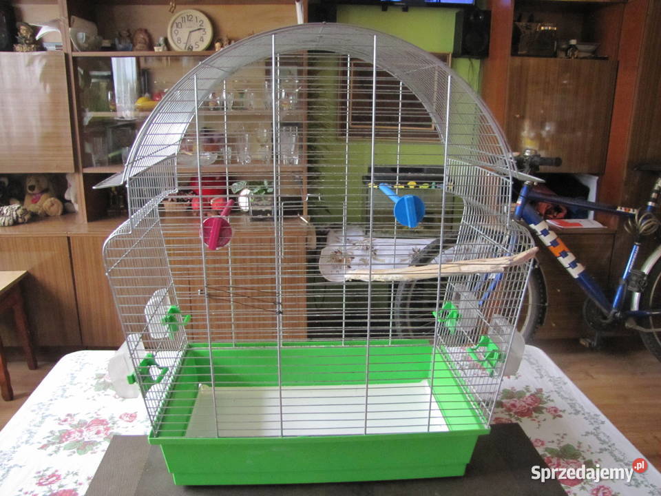 Duża klatka ptaków Toruń