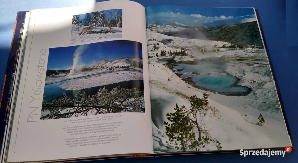 Ameryka Północna cuda przyrody tekst Francesco ISBN 9788321345321 Gdańsk