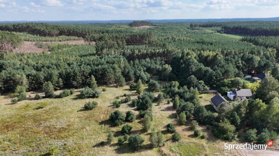 Działka w lesie 3006 m pozwolenie na budowę Piłka