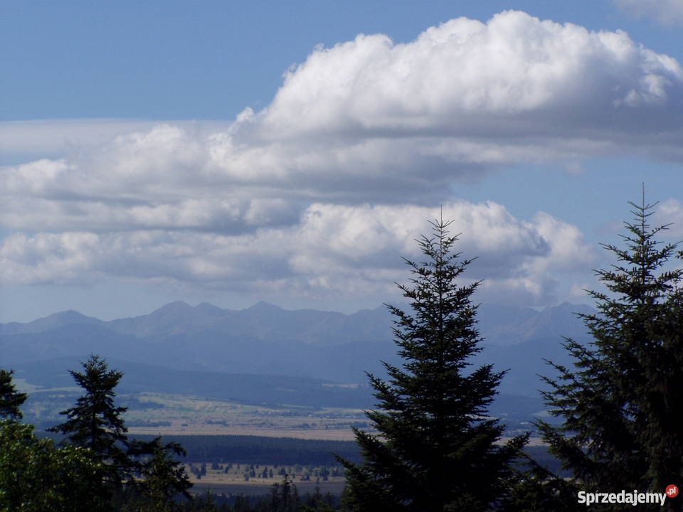 Dom PodhaleOdrowąż sprzedam 1 piętro Odrowąż