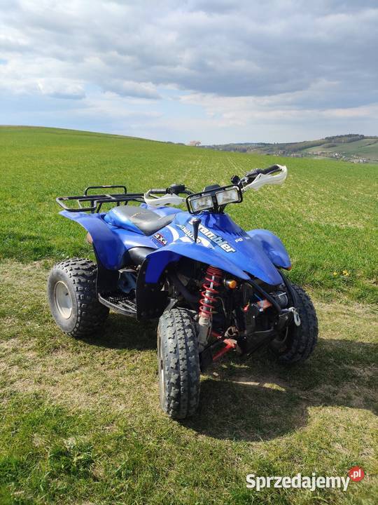 Polaris scrambler 4x4 500cc L7e Korzenna