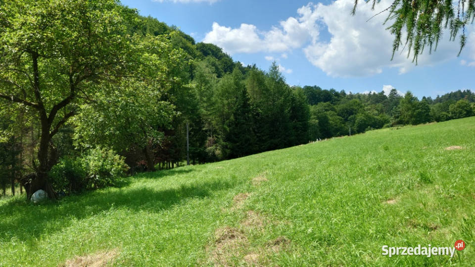 Działka BUDOWLANA 30 ary Bieszczady Bóbrka k sprzedam