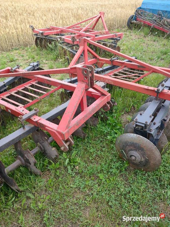 Talerzówka Śniadka Druga