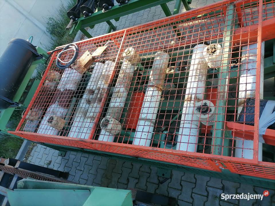 Wielopiła BrodPol linia cięcia drzewa trak wielkopolskie Kalisz