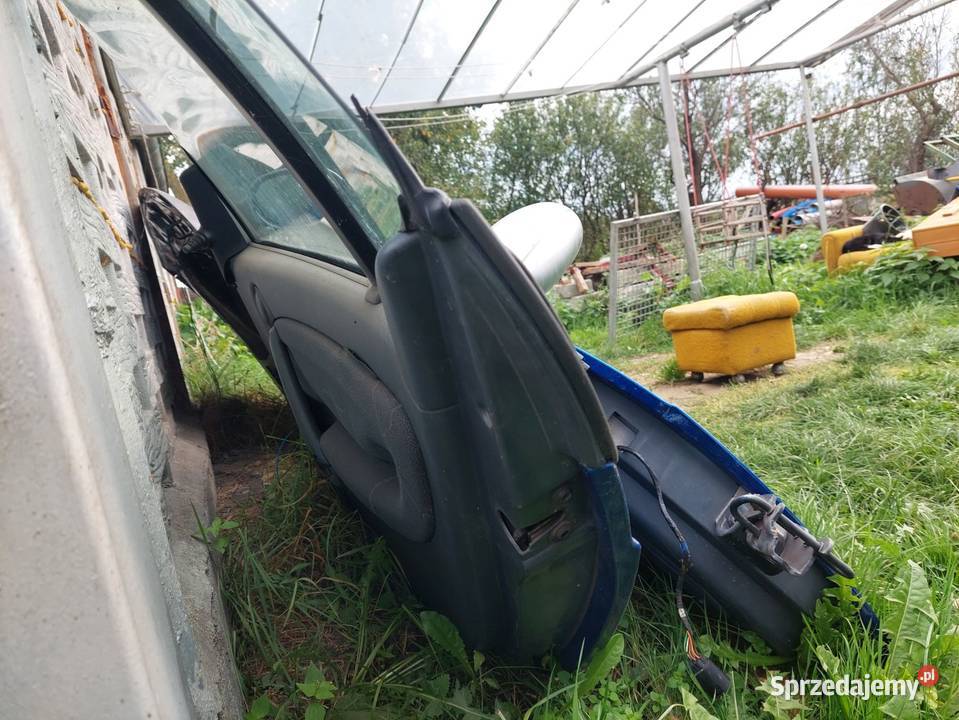 Drzwi kompletne SMART FORTWO Plewiska