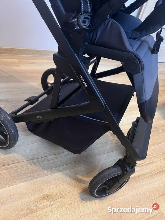 Spacerówka Carello Alfa łódzkie