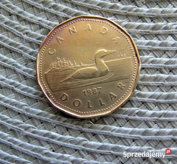 Kanada 1 Dolar 1987r wielkopolskie