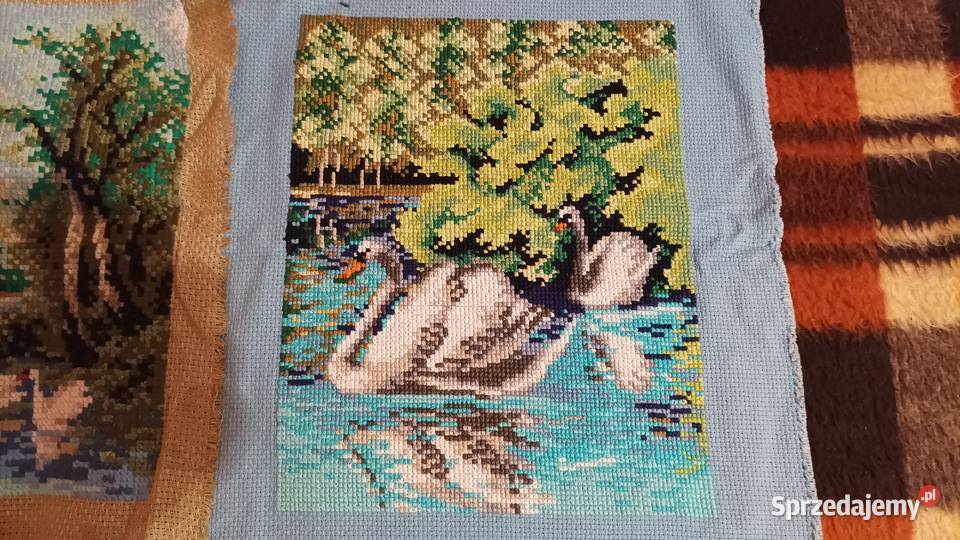 obrazy krzyżykowekwiaty łabędzie zachodniopomorskie Goleniów