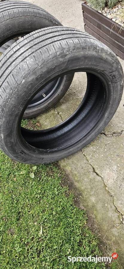 Opony Pirelli 24550 R19 run flat wielosezonowe Dębica