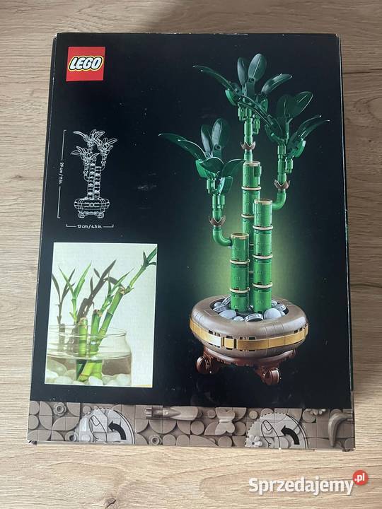 LEGO Botanical Collection 10344 Dracena sandera Zabrze
