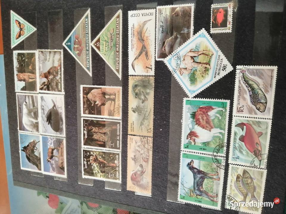 Album filatelistyczny że znaczkami Brodnica