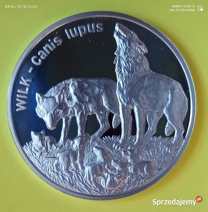 Moneta srebrna 20 1999 Wilk Wrocław