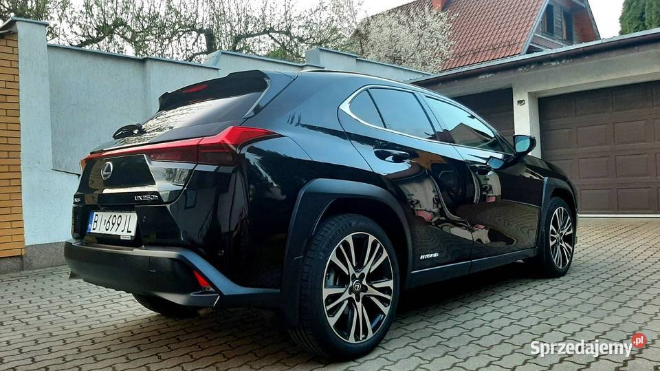 Lexus UX 250H hybrid UX Białystok