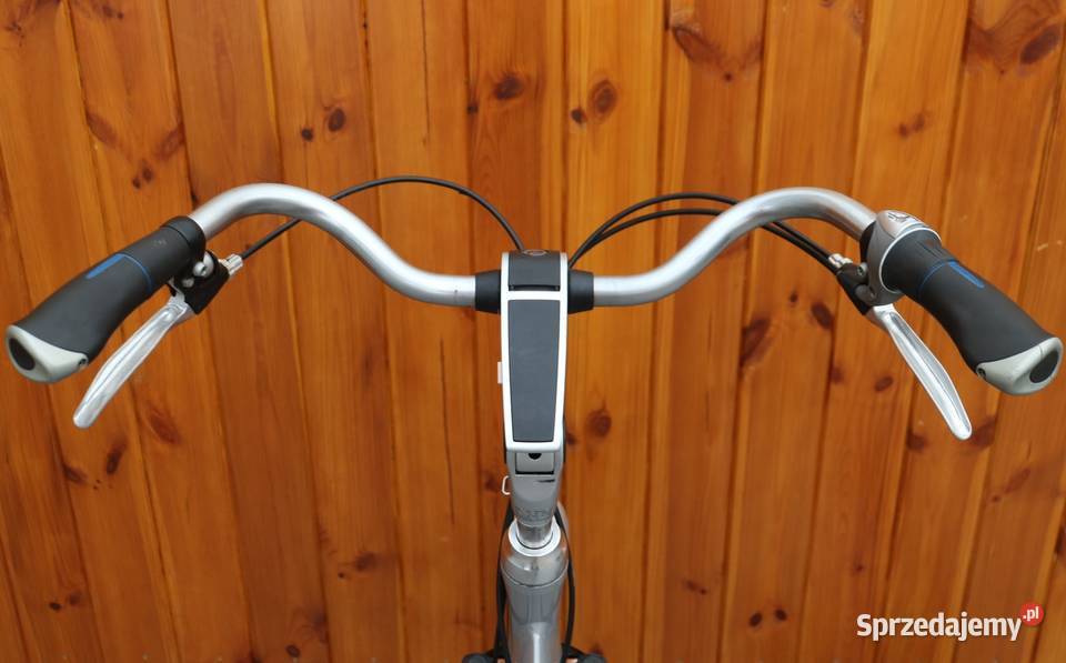 Rower damski Batavus Weekend D 48 RATY Milanówek