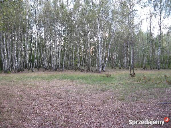 Sprzedam Dom Piasek Wielki asfalt Piasek Wielki