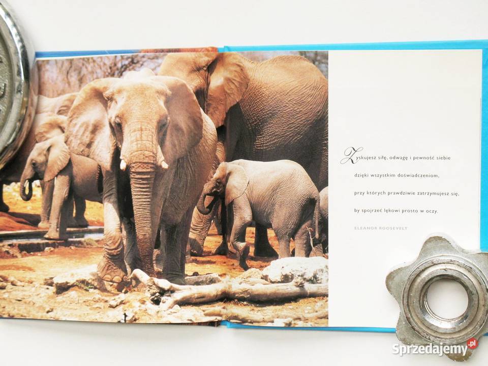 Inspiracje odwaga Praca zbiorowa twarda Kraków