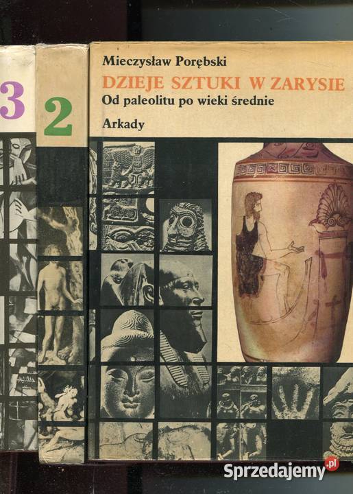 Dzieje sztuki w zarysie T13 Porębski Piwocki Szczecin sprzedam