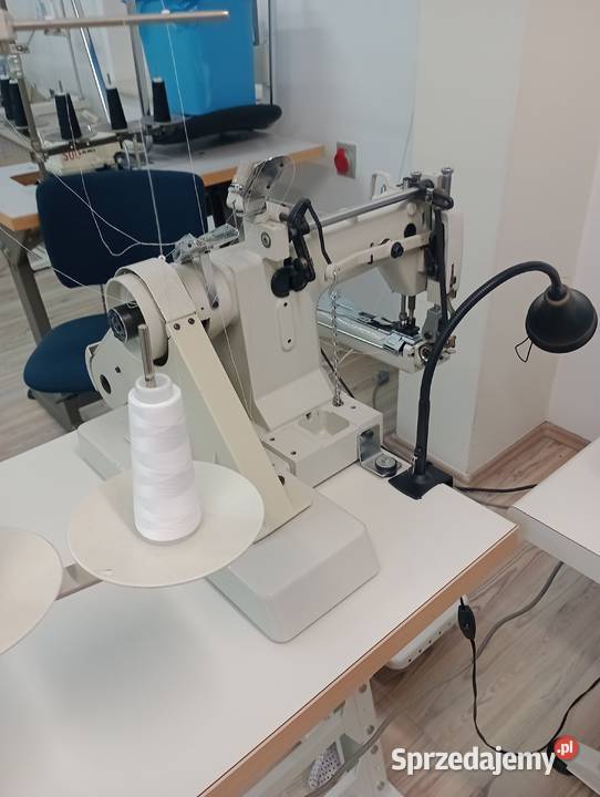 Ramieniówka Jack 2igłowa o śniegu łańcuszkowym małopolskie Wolbrom