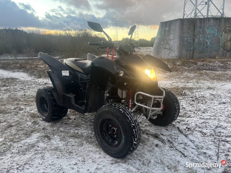 Quad atv Adly 320s wielkopolskie Czerwonak