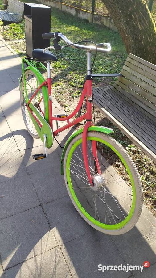 Fajna oldschoolowa damka holenderska PERFORMANCE Kraków