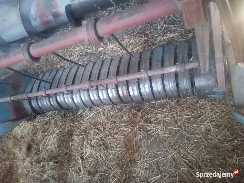 Claas Europa do fasoli Kotlice