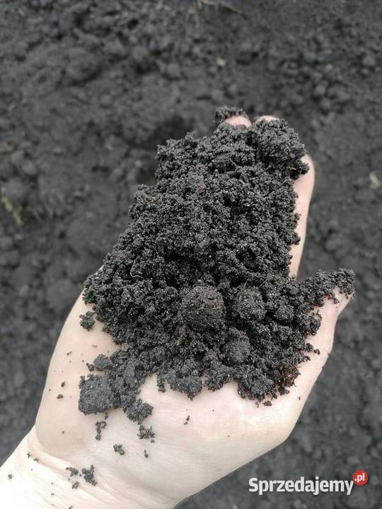 Ziemia ogrodowa, czarnoziem, piach, kamienie ozdobne - wszystko do ogrodu