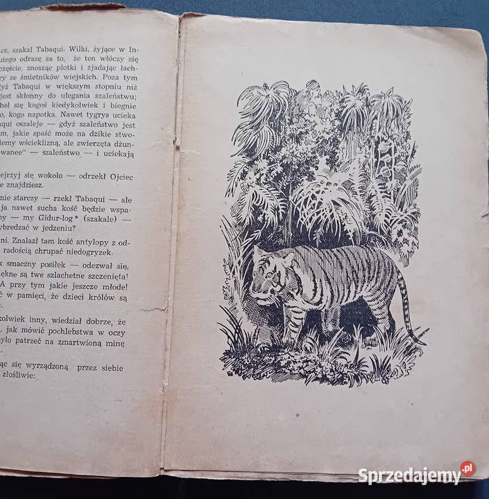 Rudyard Kipling Księga dżungli Wyd Polskie R Koźminek