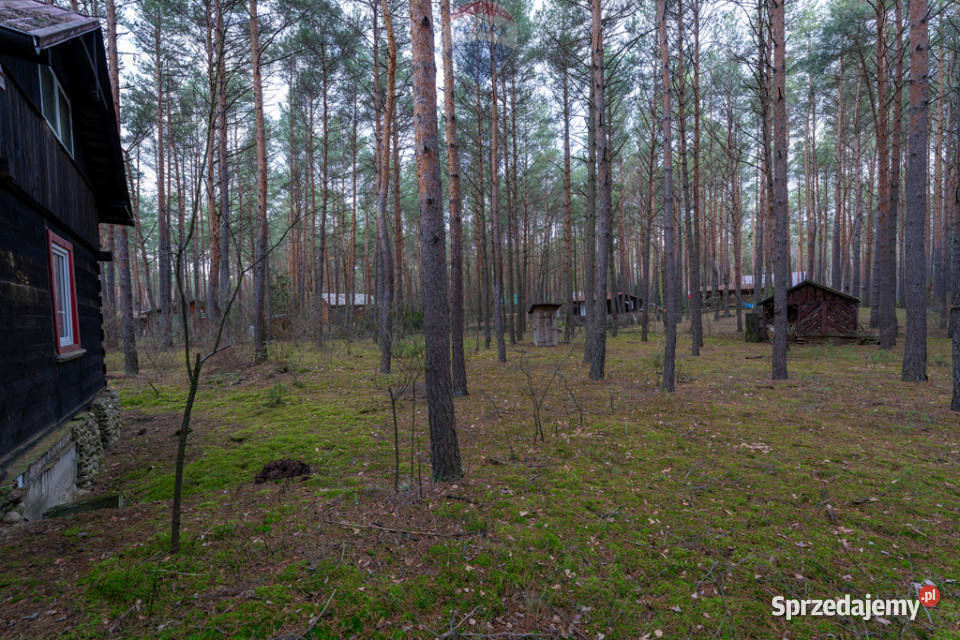 Sprzedażdziałka z MPZP1900 m2Łosie Radzymin