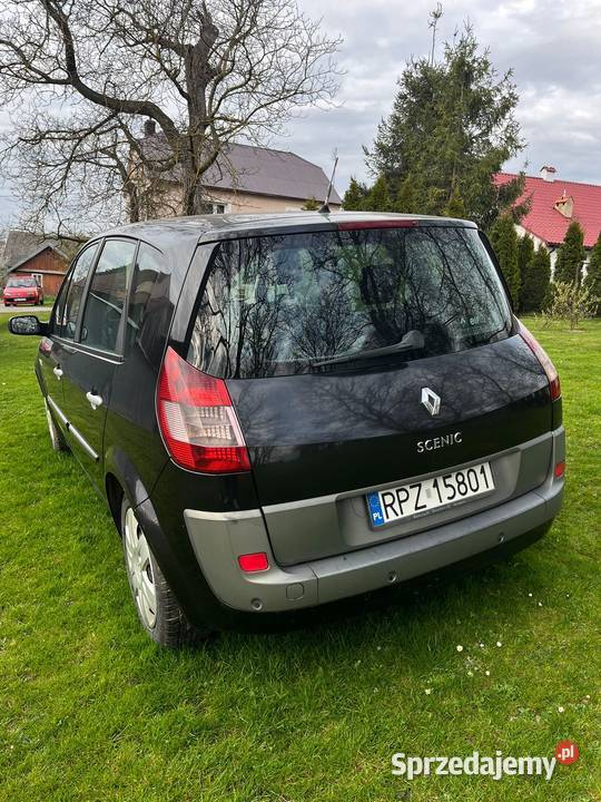 Renault Scenic II podkarpackie Rożniatów