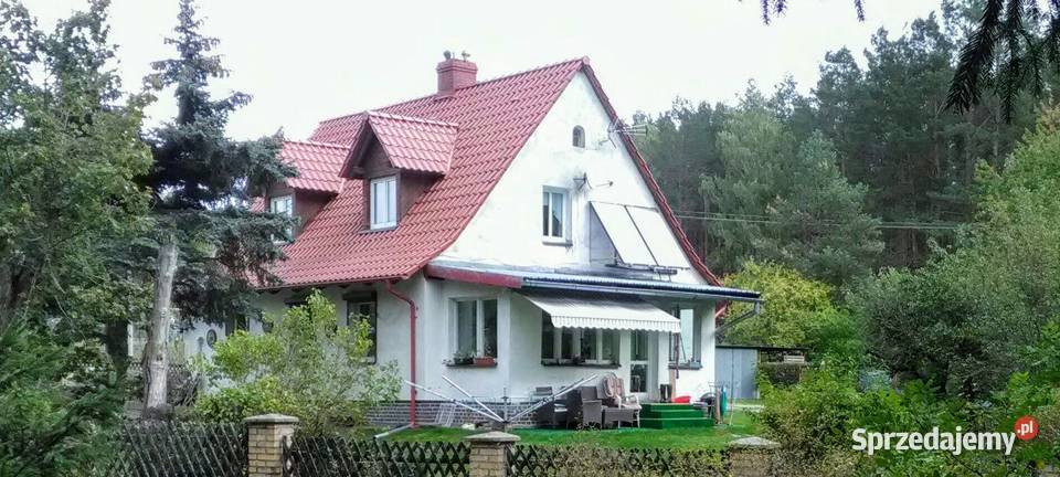 Dom artysty hobbysty na skraju lasu drewniane