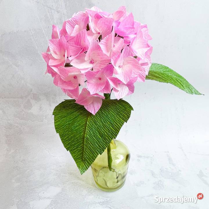 Hortensja z krepiny włoskiej