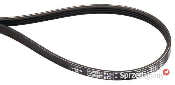 Pasek klinowy wielorowkowy SA16499 Kamionna