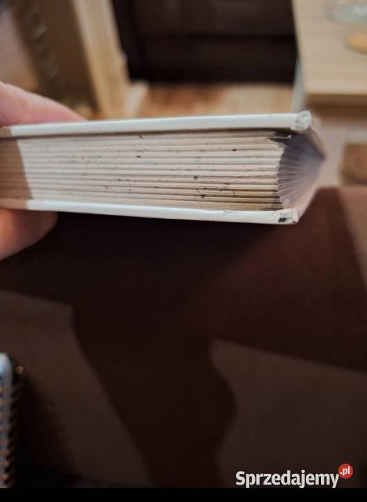 Książka Sztuka dekorowania wnętrz Konin