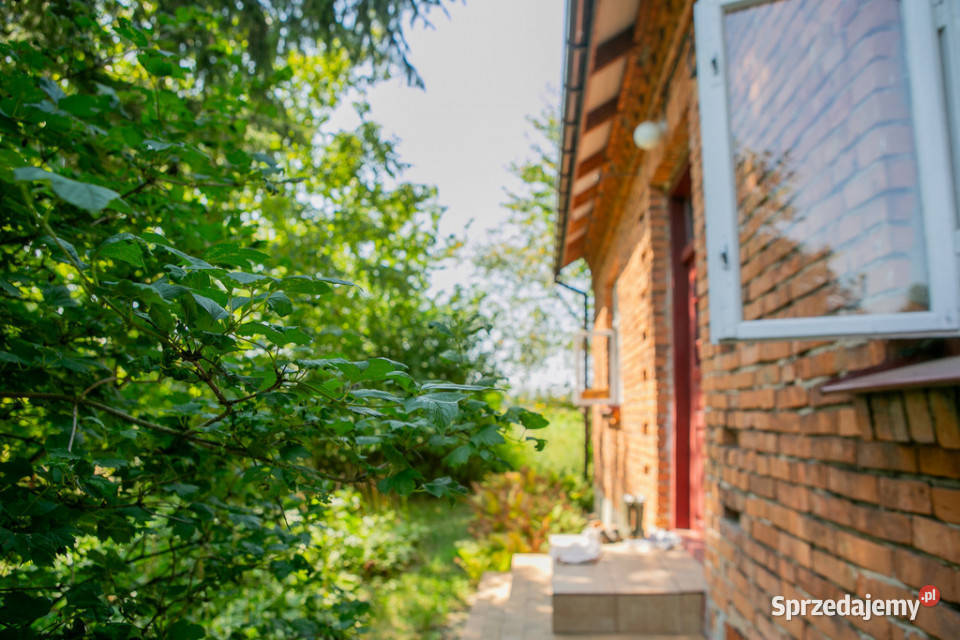 Na sprzedaż gospodarstwo w miejscowości Górka