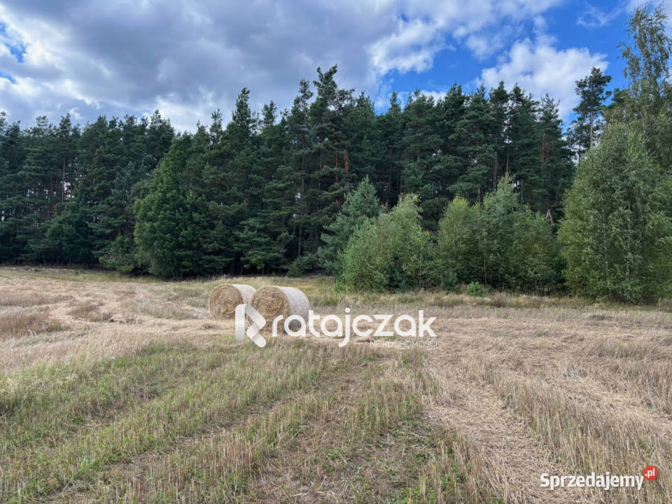Grunt 779m2 Gdynia Kazimierza Małkowskiego