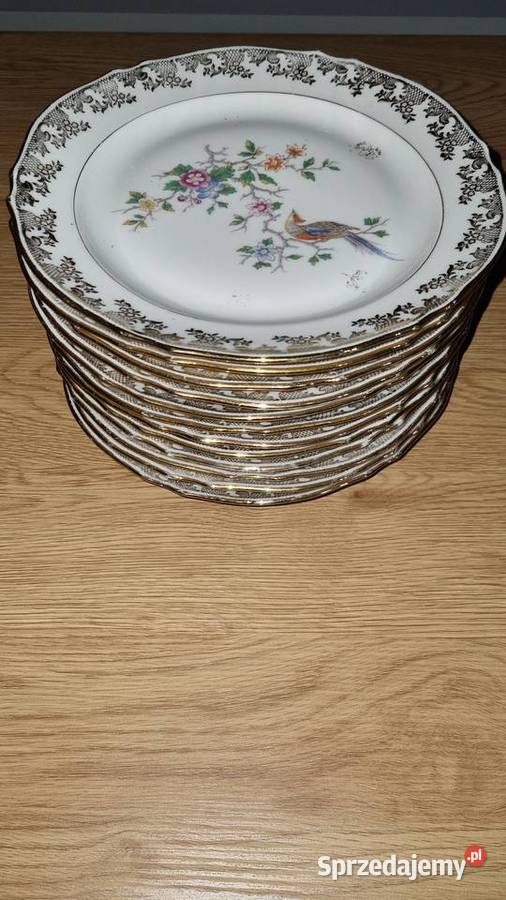 Talerze Z Rajskim Ptakiem Płytkie Porcelana Wola Podłężna