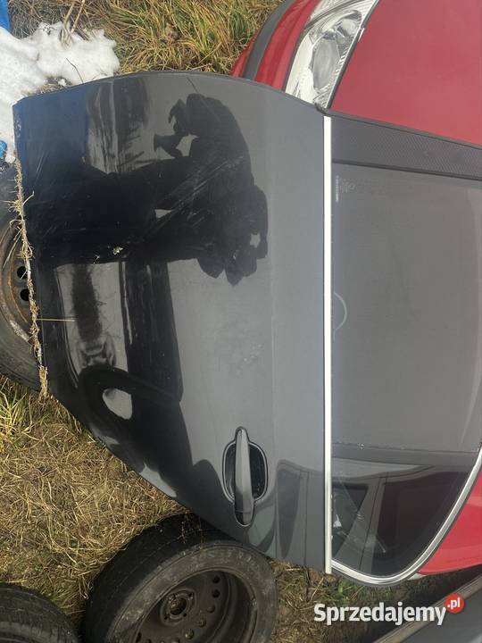 Drzwi BMW e60 Trzcinica