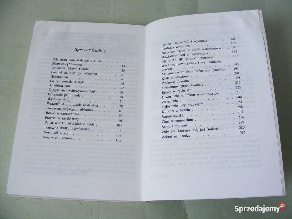 Montgomery x 3 Ania z Zielonego na uniwersytecie dolnośląskie Oborniki Śląskie