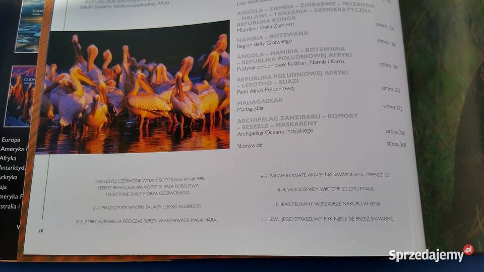 Afryka cuda przyrody Giovanni Giuseppe Bellani twarda z obwolutą pomorskie Gdańsk