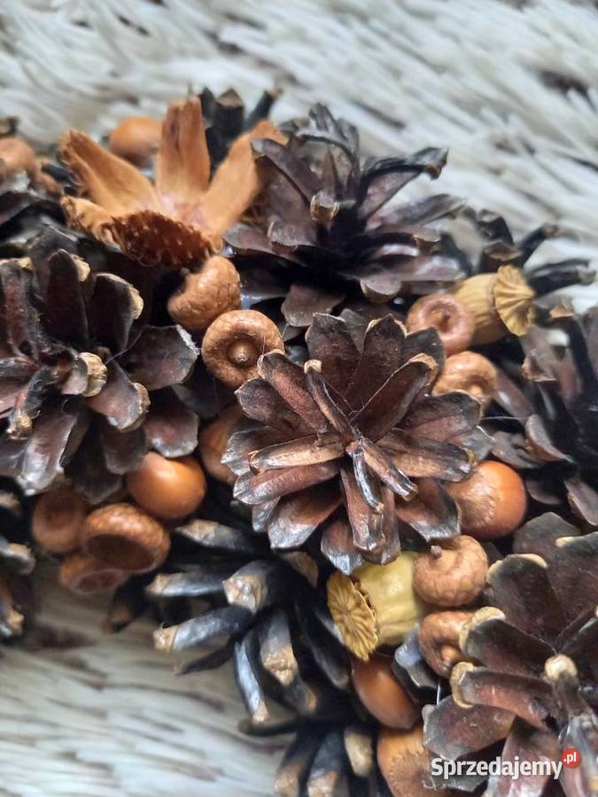 Szyszki sosny Pozostałe Dobra