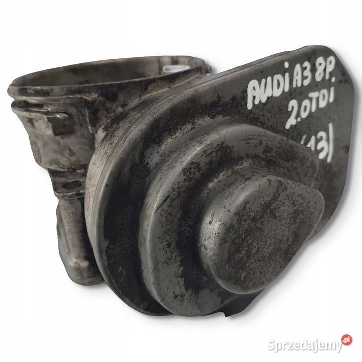 PRZEPUSTNICA Audi A3 II 8P 20 TDI oryginał Chełm