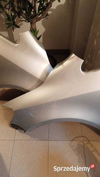 Błotniki golf plus lewy prawy LA7W osobowe Bochnia