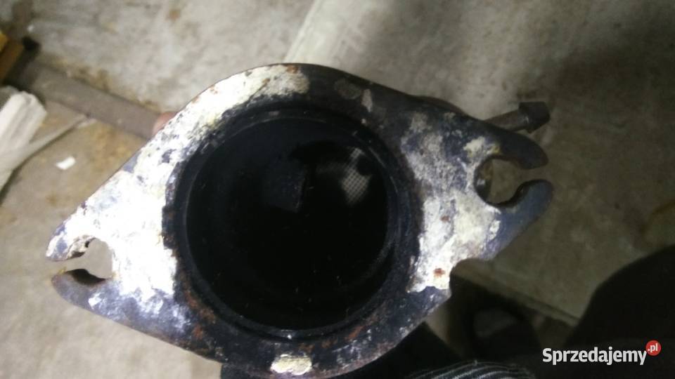 kuga mk1 dpf wielkopolskie Kalisz
