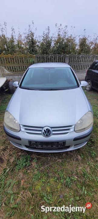 Volkswagen Golf V 14 benzyna 2004 bez wkładu Golf Konie